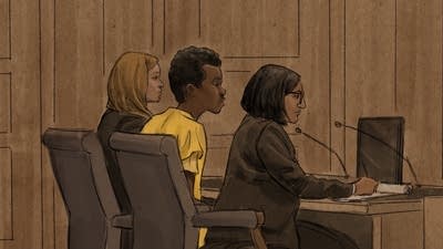 Teen accused in Mall of America attack plot allegedly said he wanted to die, pledged ISIS support