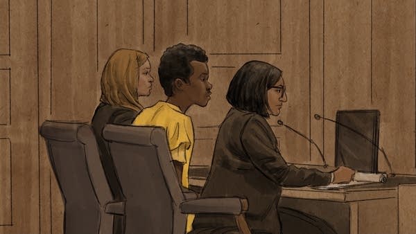 Teen accused in Mall of America attack plot allegedly said he wanted to die, pledged ISIS support