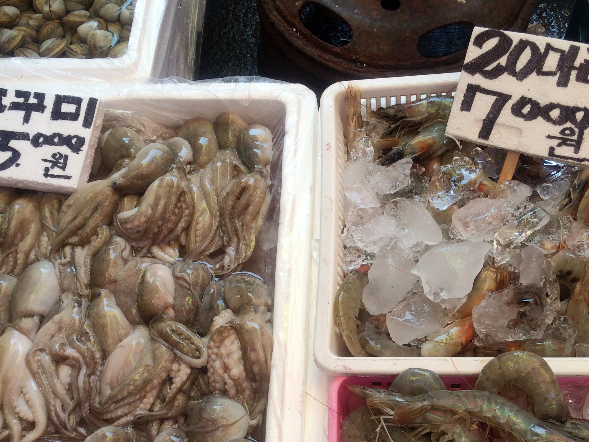 Fresh seafood at the market in Daejeon.