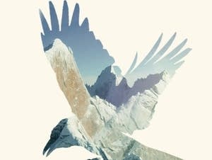 'To the Bright Edge of the World' by Eowyn Ivey