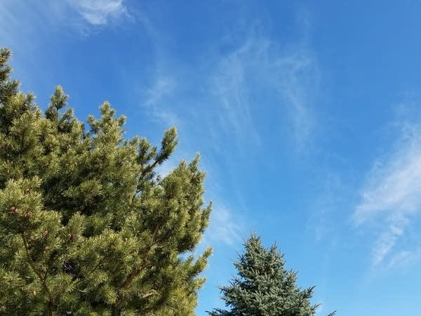 MSP hits 61! Heading for 19 straight warm months