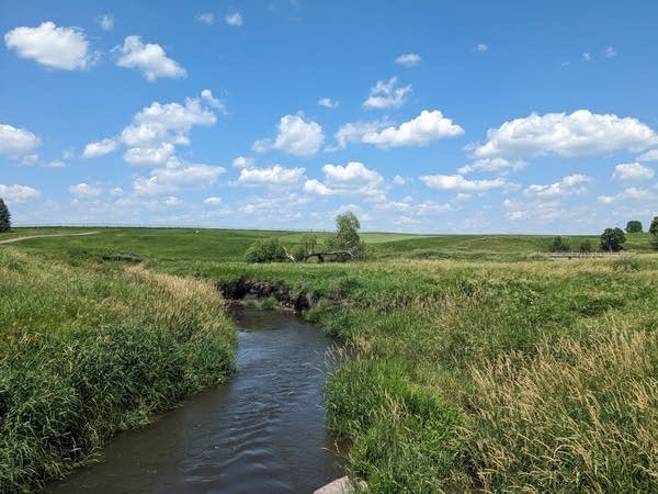 Sunnier, warmer weather in the forecast
