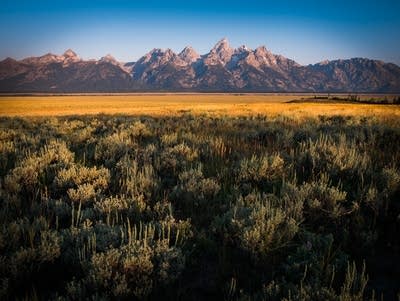 A view of the Teton mountain range