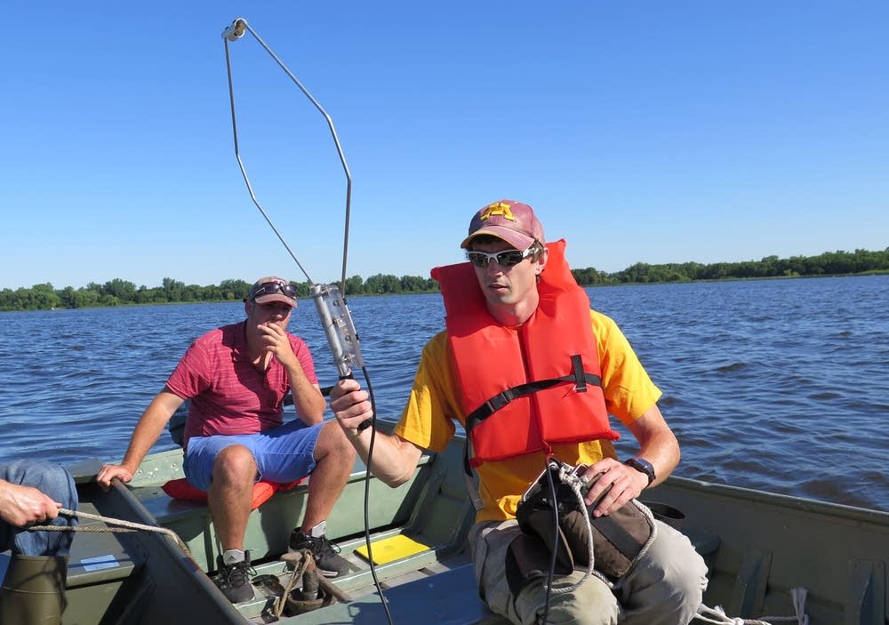 Tracking adult carp with a radio antenna