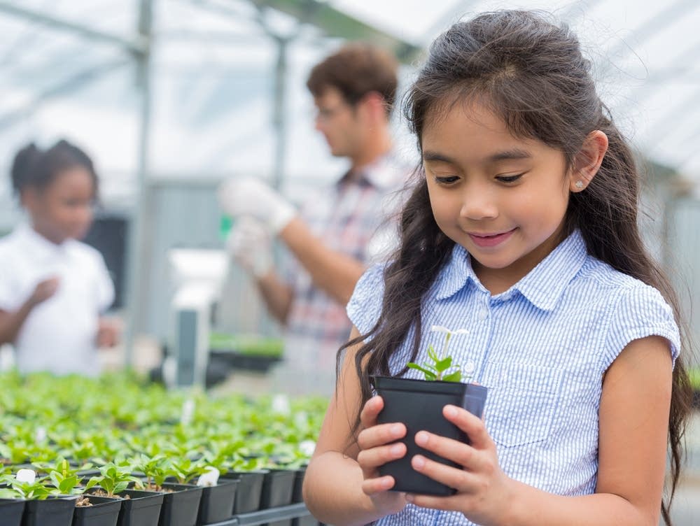 Do plants have feelings? Brains on! A podcast for kids & curious adults