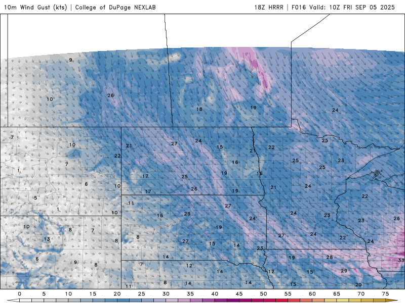 Chilly and windy Friday, brighter this weekend 