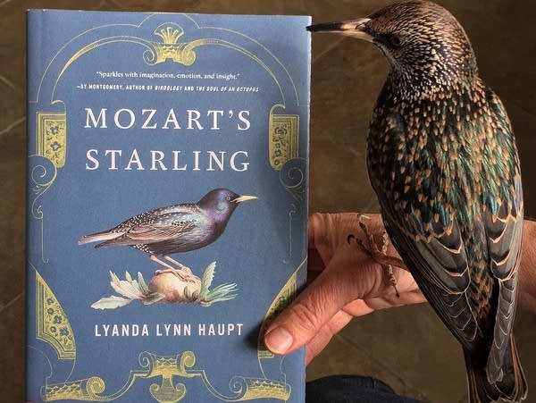 Book cover held by author Lyanda Lynne Haupt and her starling.