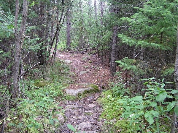 Roy Lake portage
