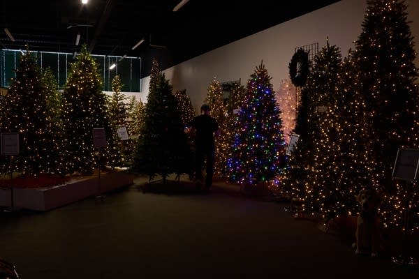 A room full of artificial Christmas trees.