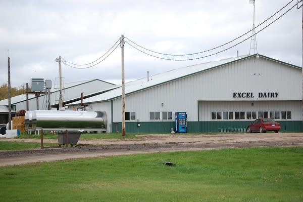 Excel Dairy