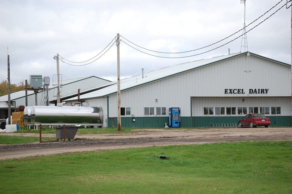 Excel Dairy