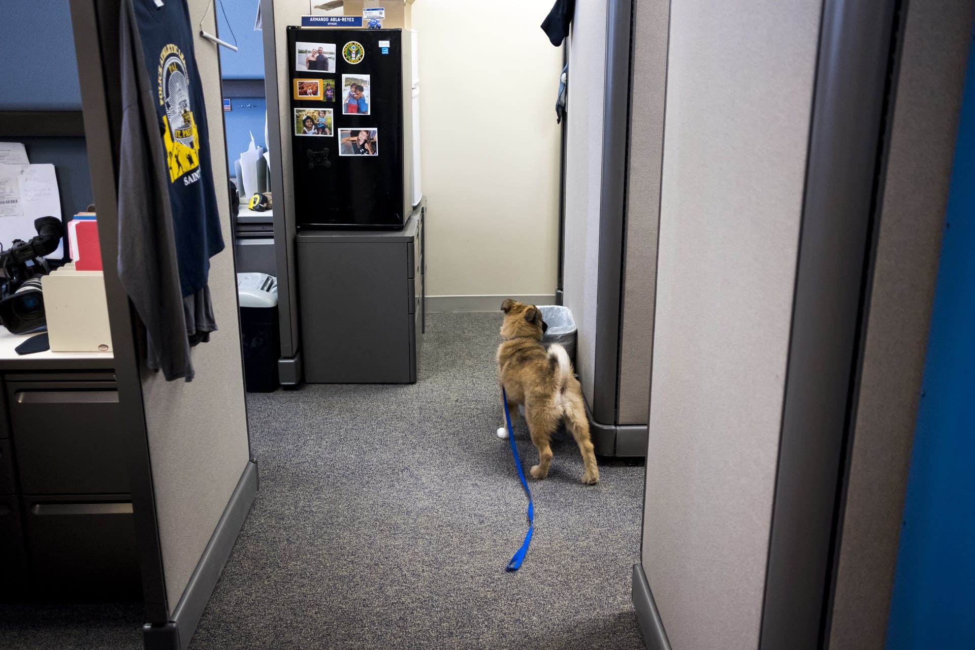 Sergeant Fuzz investigates a suspicious trash can.