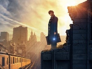 Fantastic Beasts and Where to Find Them