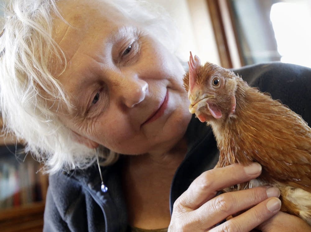 Chicken Run Rescue
