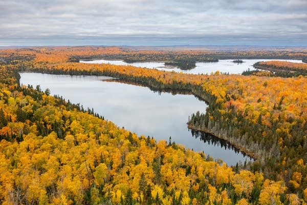 DNR expecting particularly vivid fall color display across Minnesota this year