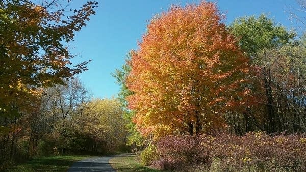 Cooler-than-normal temperatures to begin November; warmer later this week