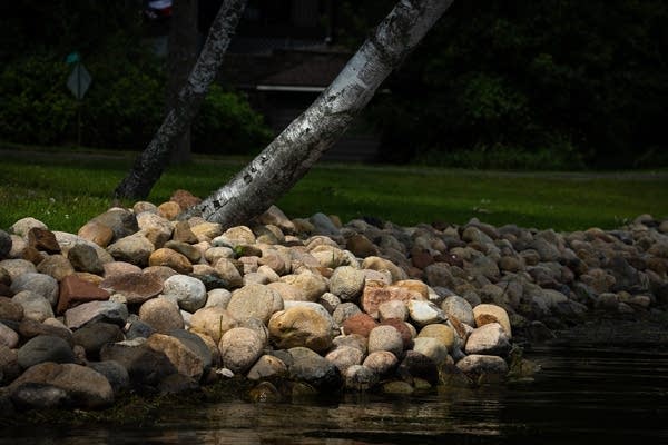 Minnesota is armoring its shorelines with rocks, but lakes are paying a price