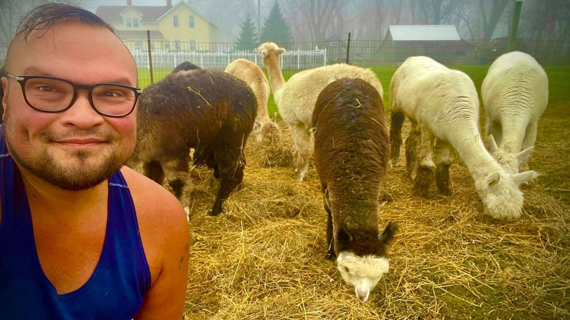Minnesota alpaca farmer wins big on 'Wheel of Fortune'