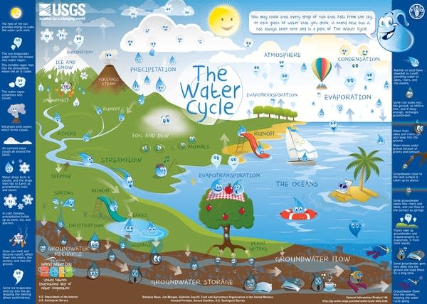 The water cycle