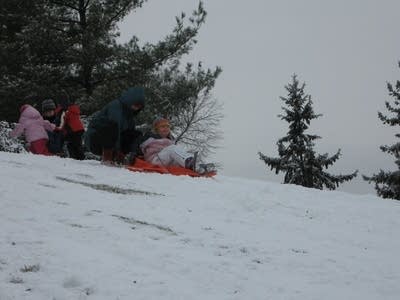 Sledding