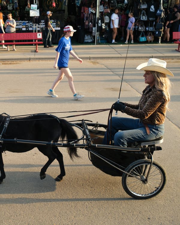 MN State Fair 2026