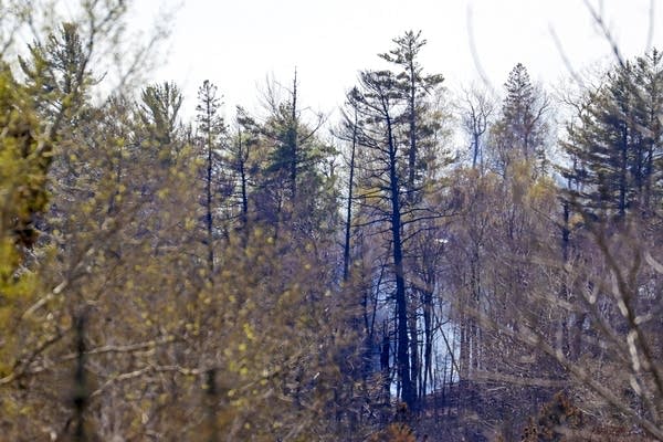 Smoke rises from a smoldering wildfire near Silver Creek