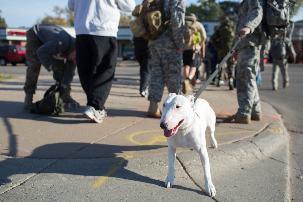 Veterans march