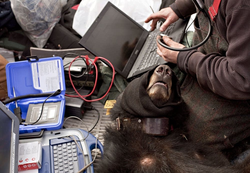 Implanting monitor