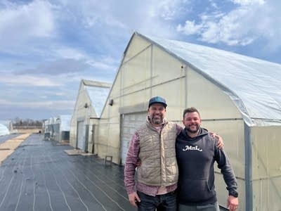 ‘Damage has been done’: Minnesota cannabis growers sue township for denying their operation