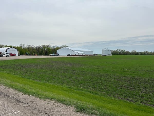 A field on a farm.