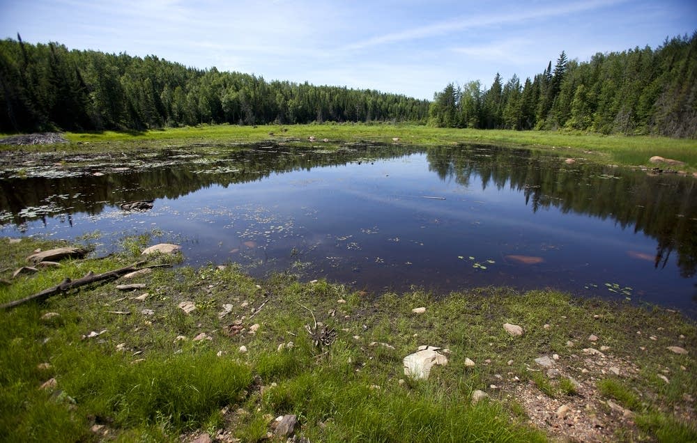 The Lake Vermilion State Park site Minnesota Public Radio News