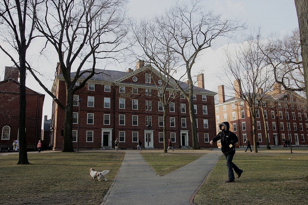 Harvard University