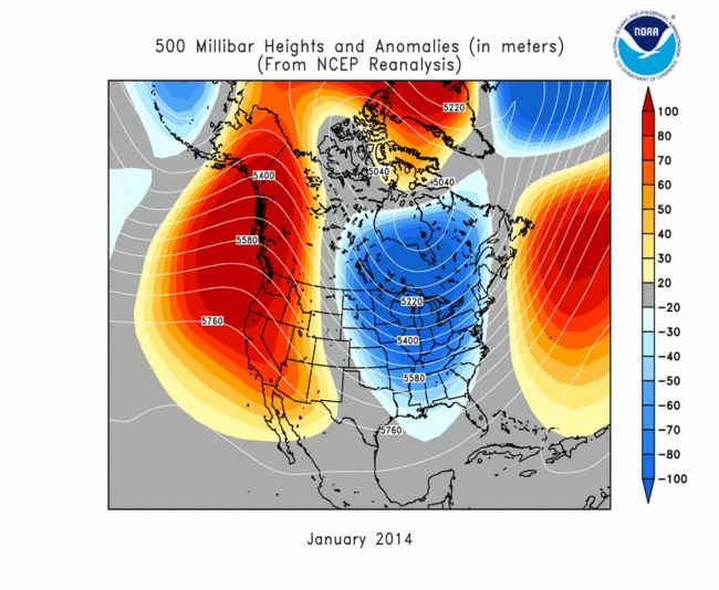 Polar Vortex in January 2014