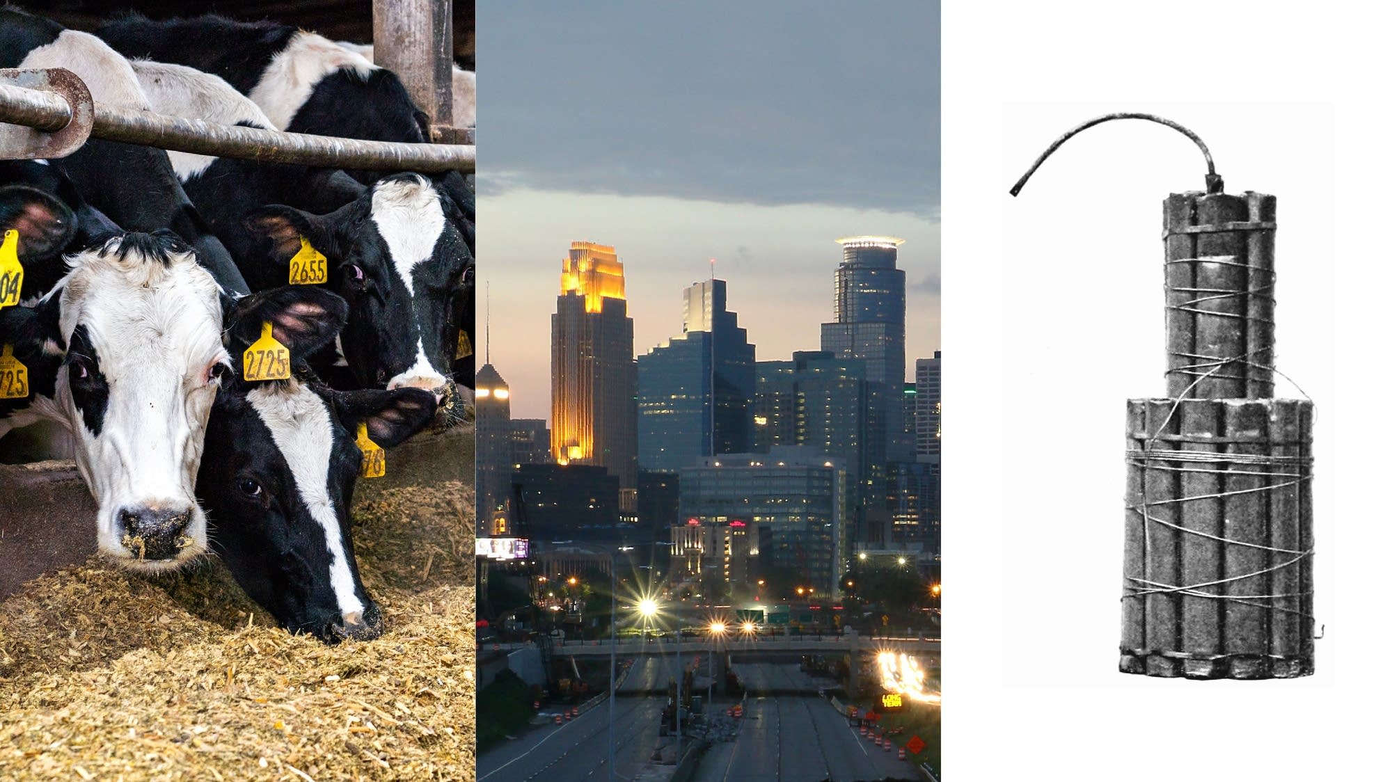 Dynamite vs. dairy cows The odd legal foundations of Minneapolis labor