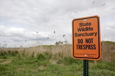 Marsh Lake sanctuary