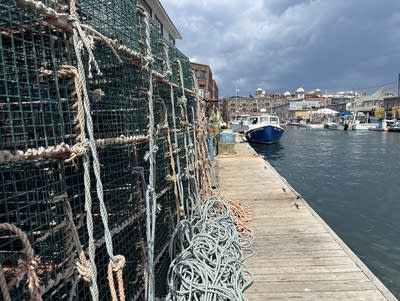 Stacks of lobster cages on a dock.