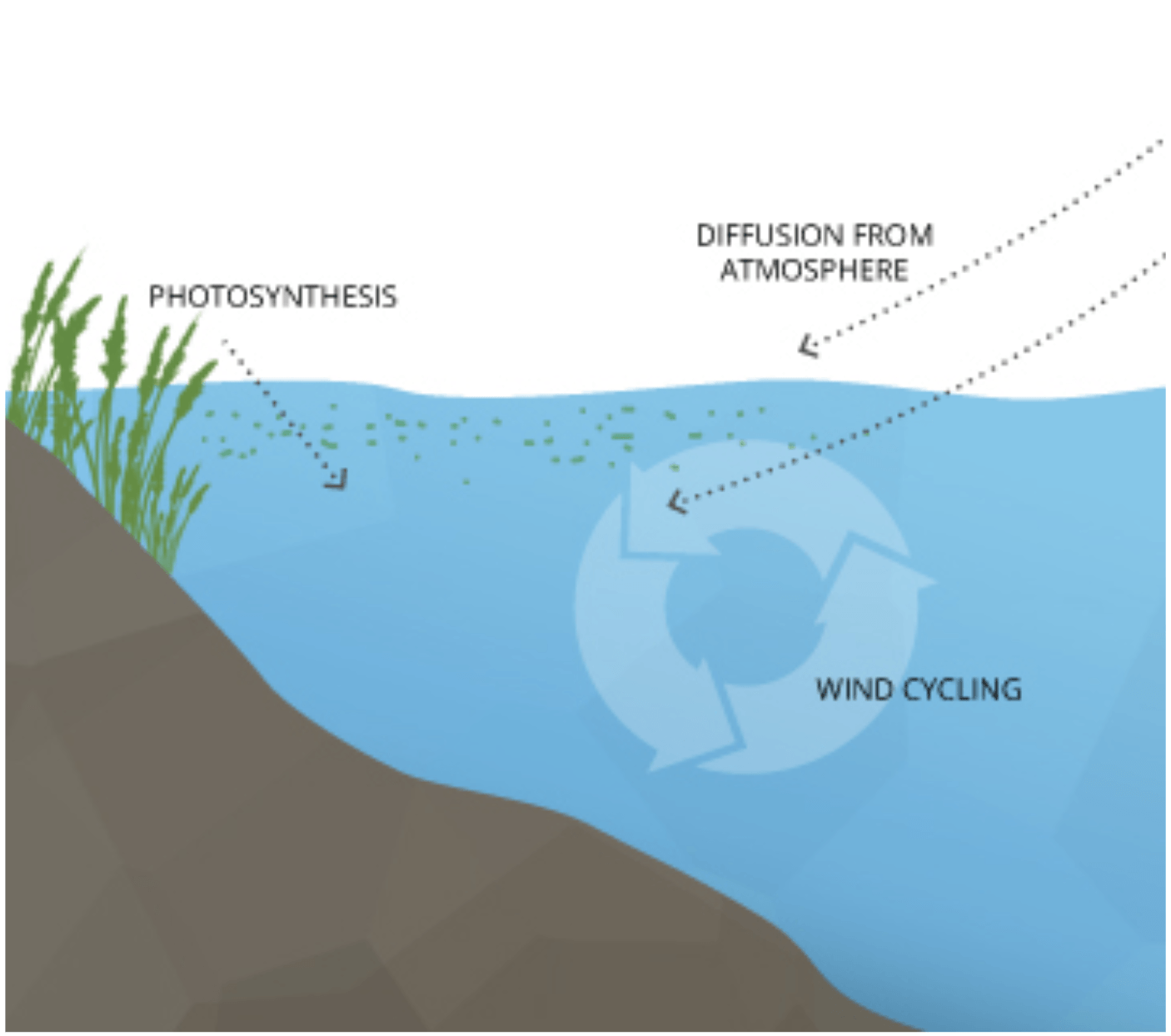 Wind Cycle
