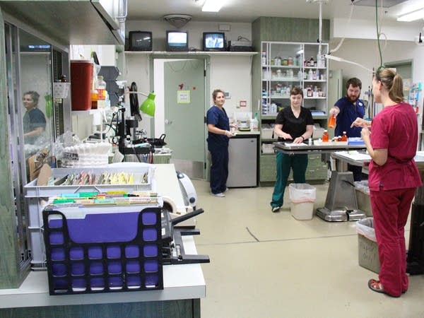 Dr. Renee Schott (right) and volunteers