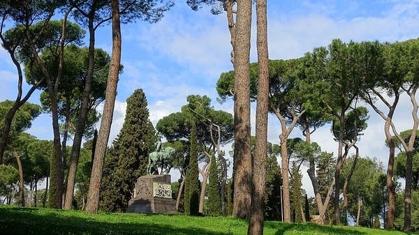 Respighi's Pines of Rome