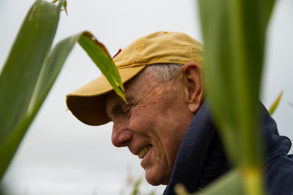 Dave Legvold grows corn near Northfield.