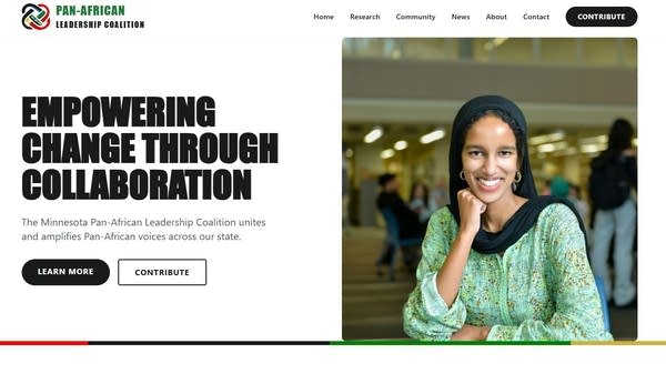 Screenshot of Pan-African Leadership Coalition website