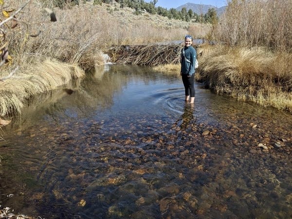 A woman stands in a stream.