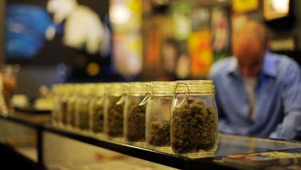 Recreational pot is legal in 11 states, but laws protecting job seekers are still rare