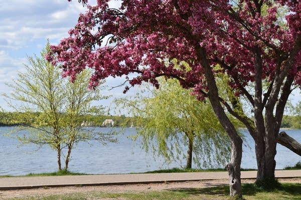 Temps rebound; spotty Saturday showers in some areas, possibly an isolated p.m. t-storm