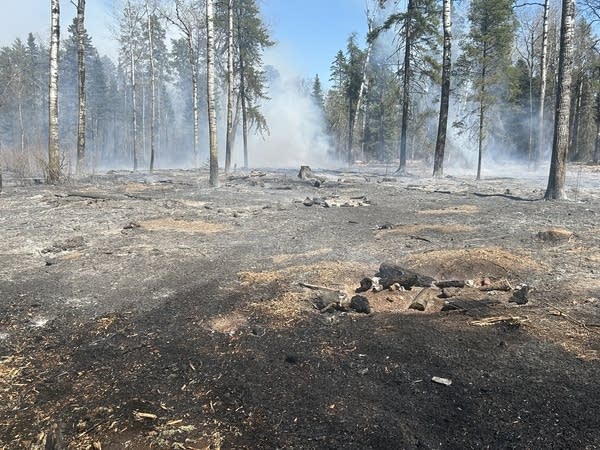 A campfire site sits in front of a charred forest that was burned in a wildfire.