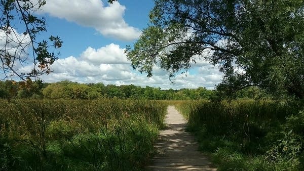 Lovely Thursday and warmer Friday; areas of rain likely early next week