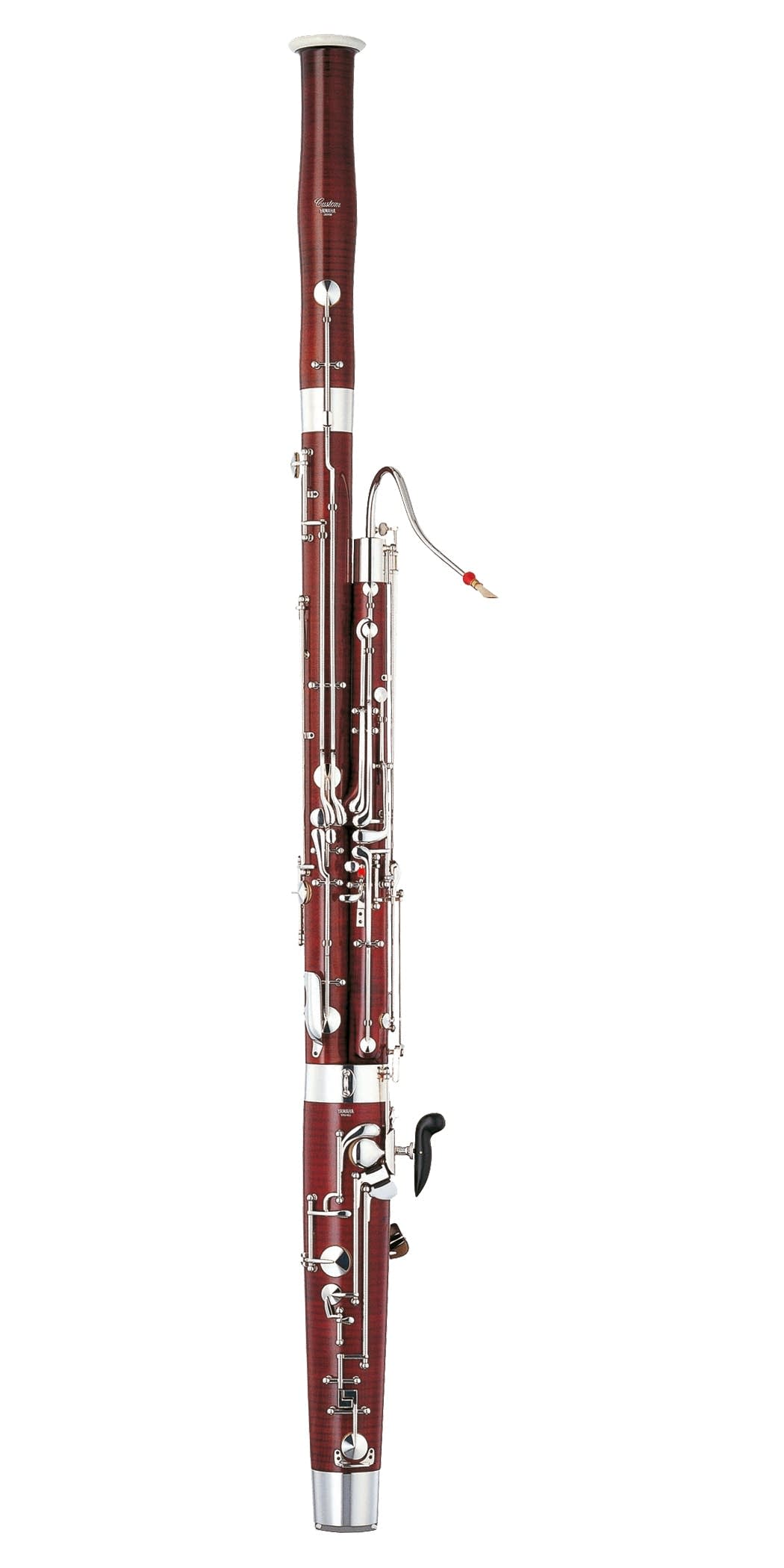 Classical Kids Music Lessons Bassoon Basics Classical MPR