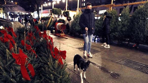 A man walks his dog through a New York City Christmas tree lot.