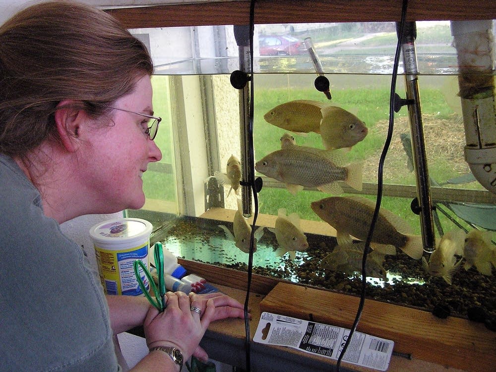 Karen Swanberg