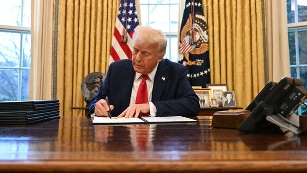Congress, the president and the power of the purse